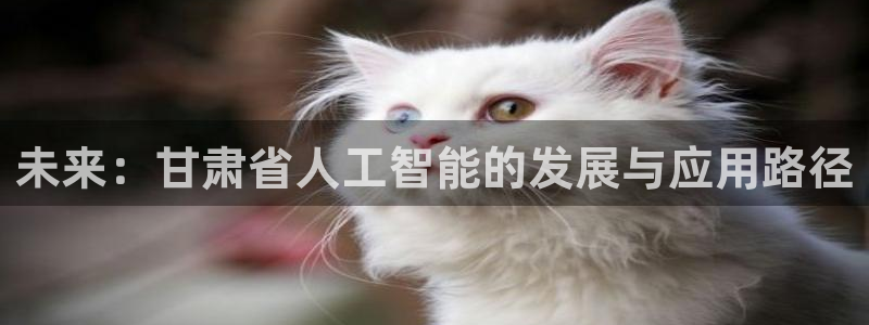 未来：甘肃省人工智能的发展与应用路径