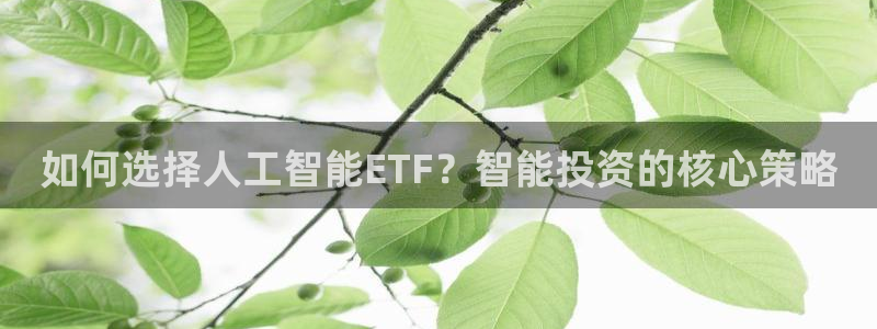 如何选择人工智能ETF？智能投资的核心策略
