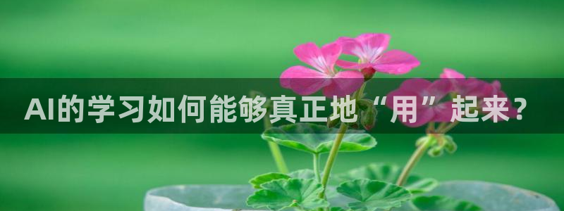AI的学习如何能够真正地“用”起来？