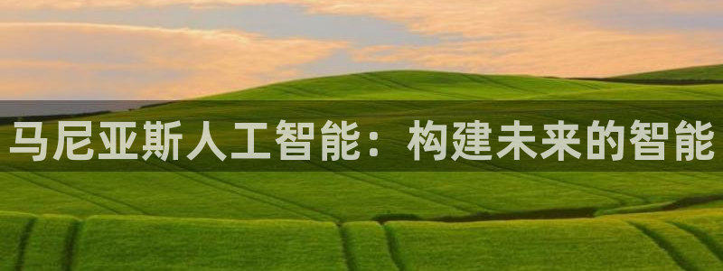 马尼亚斯人工智能：构建未来的智能