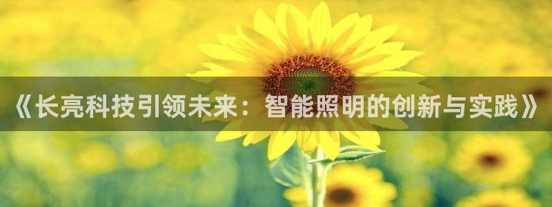 《长亮科技引领未来：智能照明的创新与实践》