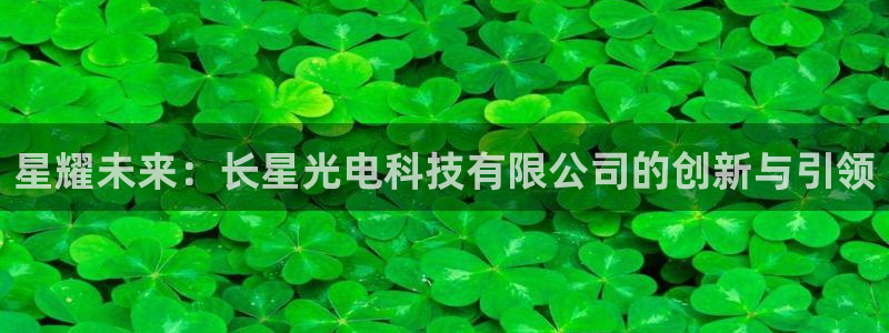 星耀未来：长星光电科技有限公司的创新与引领