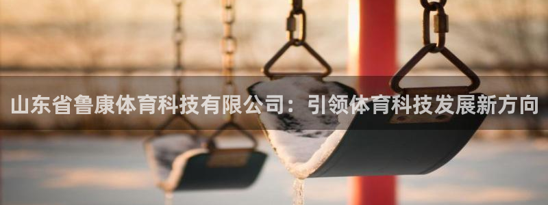 山东省鲁康体育科技有限公司：引领体育科技发展新方向