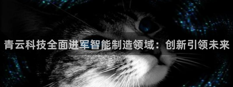 青云科技全面进军智能制造领域：创新引领未来