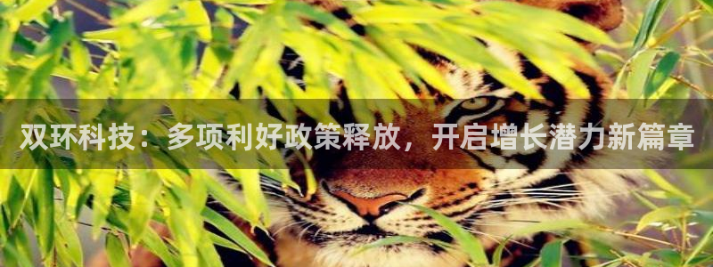 双环科技：多项利好政策释放，开启增长潜力新篇章