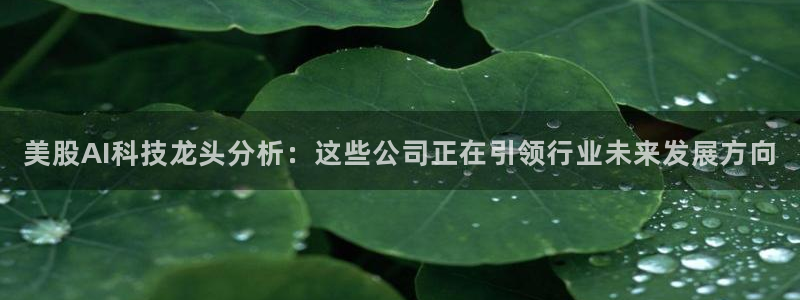 美股AI科技龙头分析：这些公司正在引领行业未来发展方向