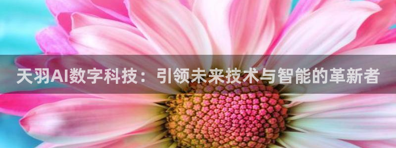 天羽AI数字科技：引领未来技术与智能的革新者