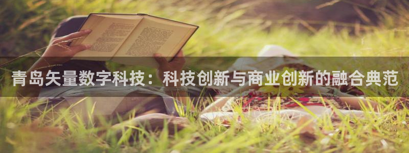 青岛矢量数字科技：科技创新与商业创新的融合典范