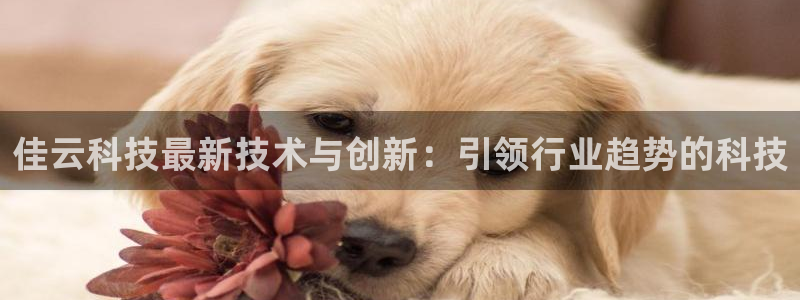 佳云科技最新技术与创新：引领行业趋势的科技