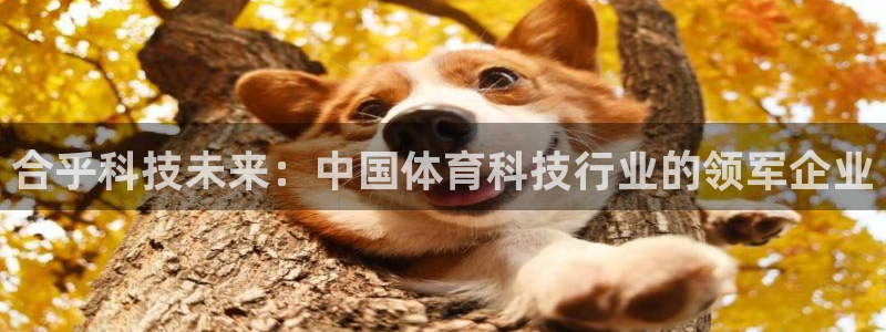合乎科技未来：中国体育科技行业的领军企业