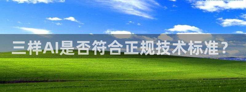 三样AI是否符合正规技术标准？