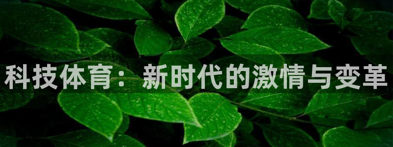 科技体育：新时代的激情与变革