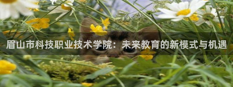 眉山市科技职业技术学院：未来教育的新模式与机遇
