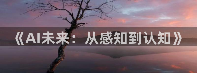《AI未来：从感知到认知》