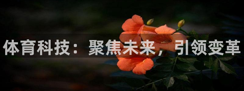 体育科技：聚焦未来，引领变革