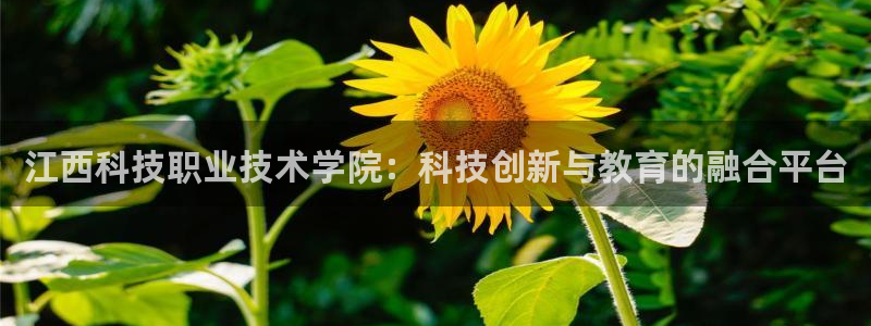 江西科技职业技术学院：科技创新与教育的融合平台