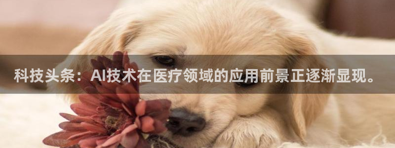 科技头条：AI技术在医疗领域的应用前景正逐渐显现。