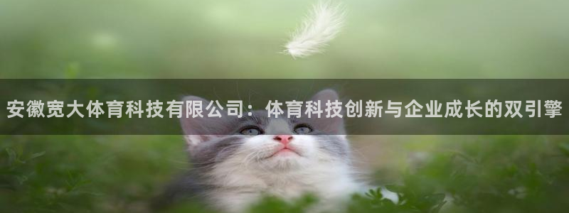 安徽宽大体育科技有限公司：体育科技创新与企业成长的双引擎