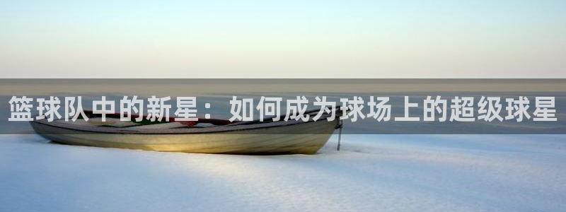 篮球队中的新星：如何成为球场上的超级球星