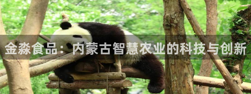 金淼食品：内蒙古智慧农业的科技与创新