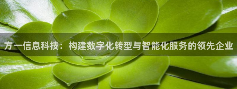 方一信息科技：构建数字化转型与智能化服务的领先企业
