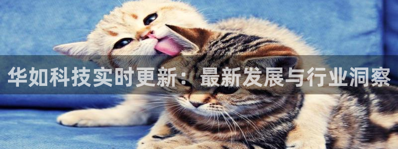 华如科技实时更新：最新发展与行业洞察