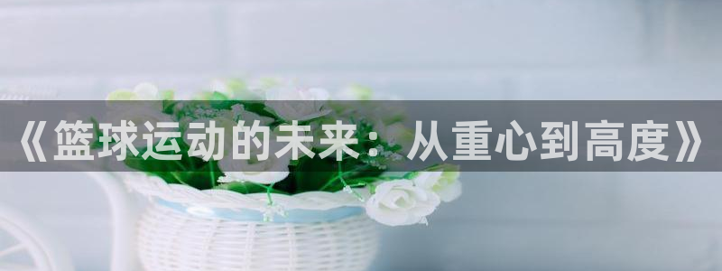 《篮球运动的未来：从重心到高度》