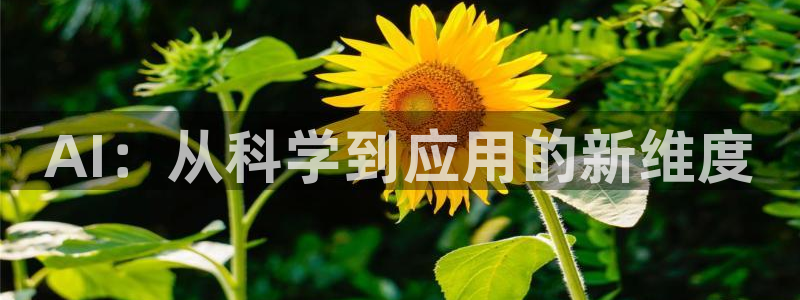 AI：从科学到应用的新维度