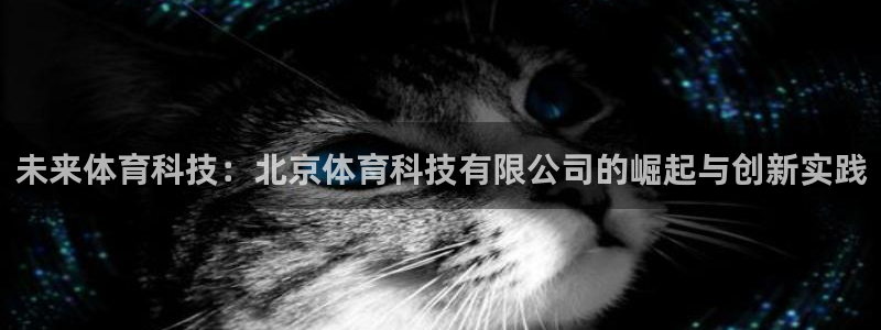 未来体育科技：北京体育科技有限公司的崛起与创新实践
