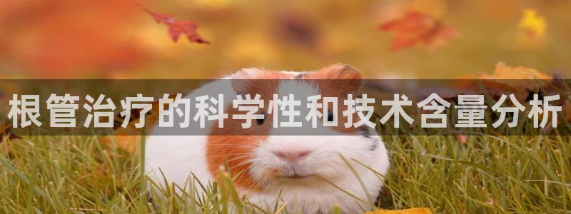 根管治疗的科学性和技术含量分析