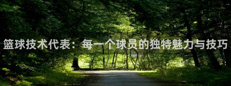 篮球技术代表：每一个球员的独特魅力与技巧