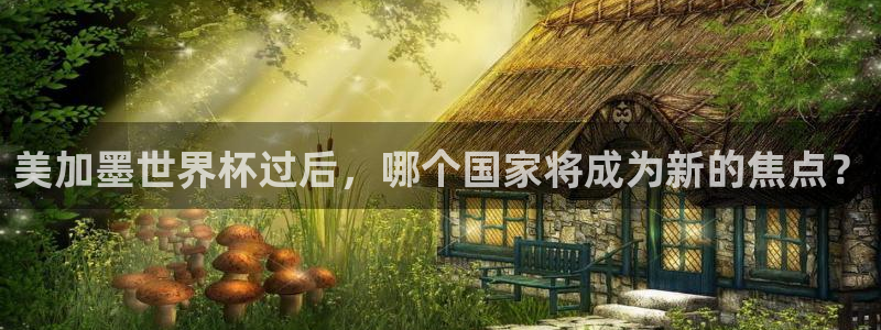 美加墨世界杯过后，哪个国家将成为新的焦点？