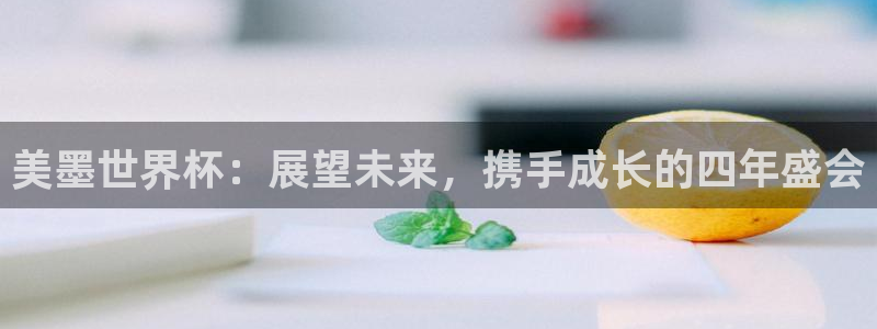 美墨世界杯：展望未来，携手成长的四年盛会