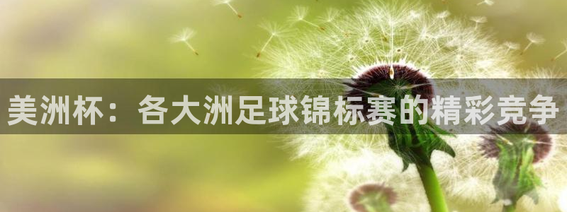 美洲杯：各大洲足球锦标赛的精彩竞争