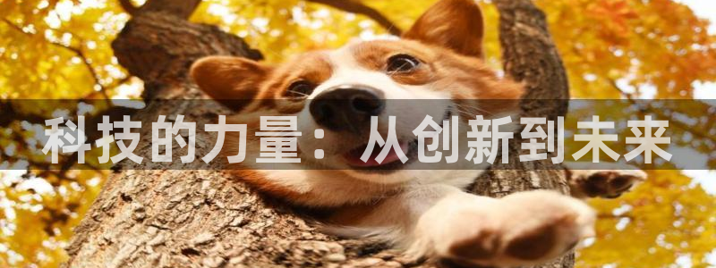 科技的力量：从创新到未来