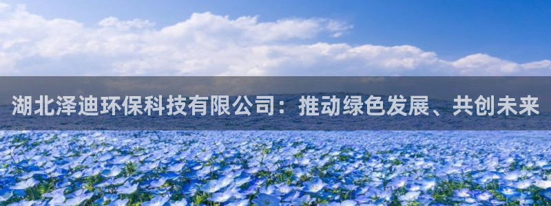 湖北泽迪环保科技有限公司：推动绿色发展、共创未来