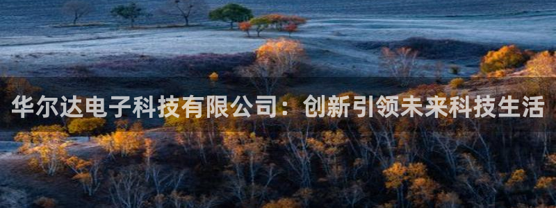 华尔达电子科技有限公司：创新引领未来科技生活