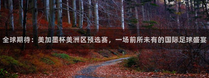 全球期待：美加墨杯美洲区预选赛，一场前所未有的国际足球盛宴