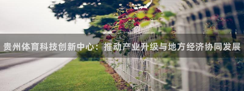 贵州体育科技创新中心：推动产业升级与地方经济协同发展