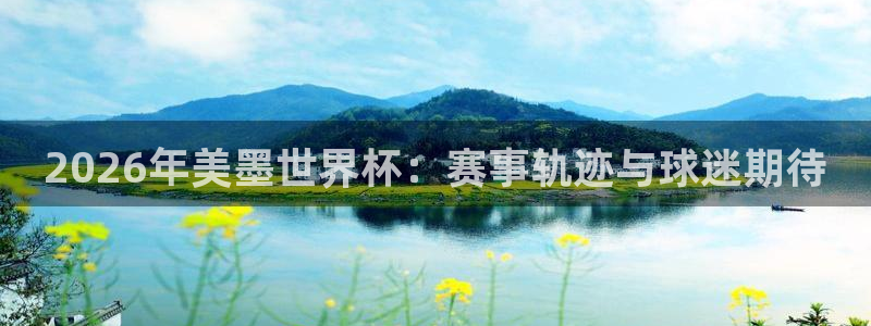 2026年美墨世界杯：赛事轨迹与球迷期待