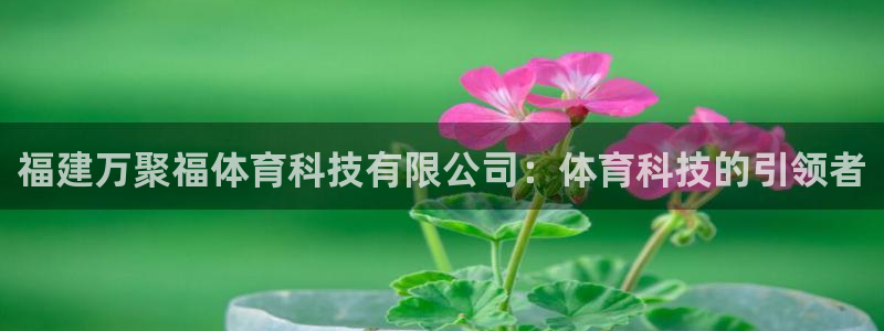 福建万聚福体育科技有限公司：体育科技的引领者