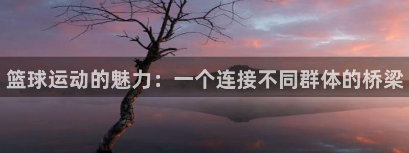 篮球运动的魅力：一个连接不同群体的桥梁