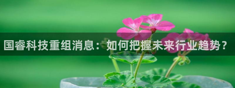国睿科技重组消息：如何把握未来行业趋势？